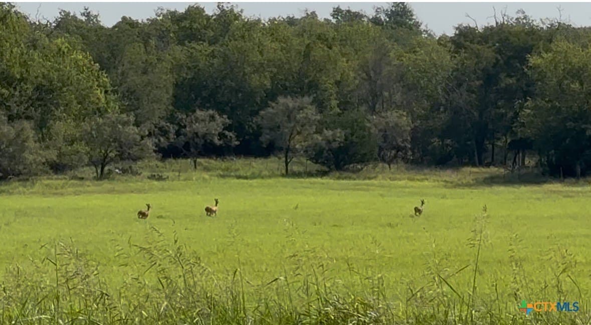 13.97 acres in Lampasas County - photo 5