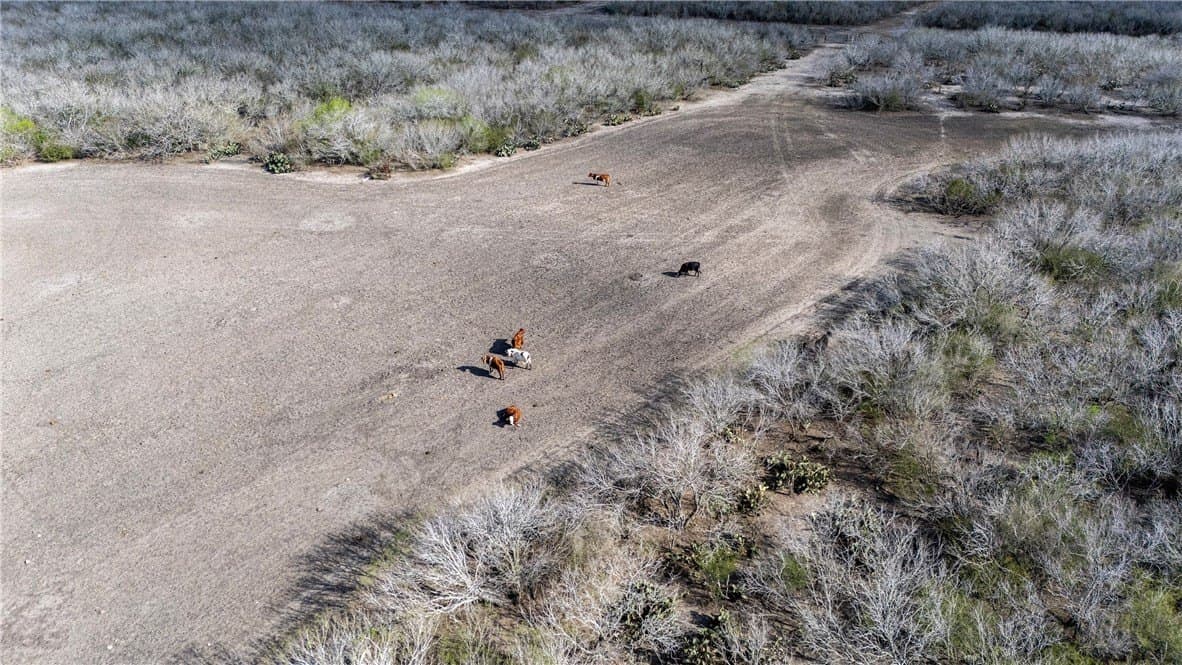 159 acres in Refugio County - photo 21