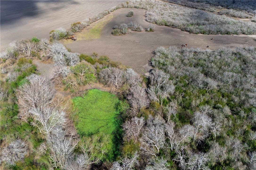 159 acres in Refugio County - photo 20
