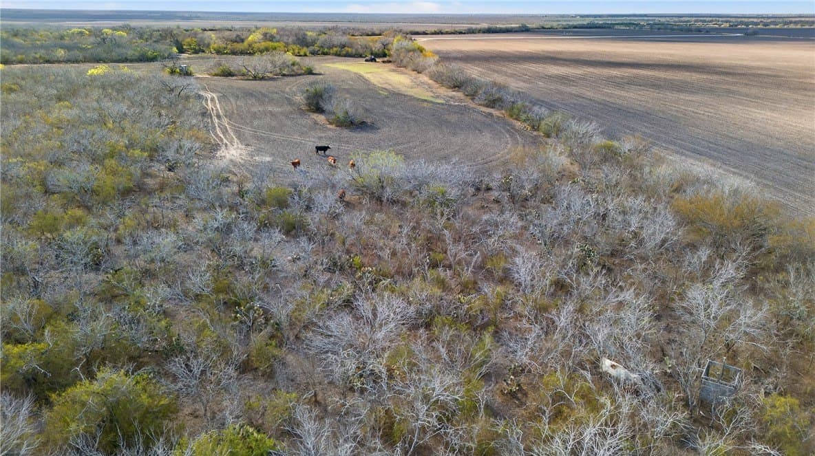 159 acres in Refugio County - photo 17