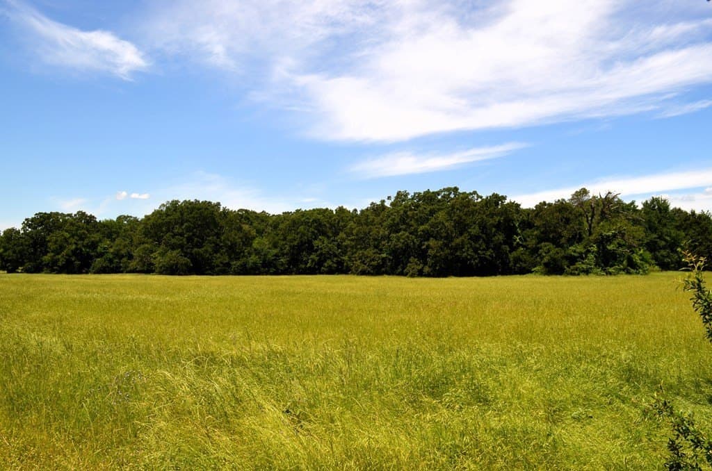 93.53 acres in Henderson County - photo 16