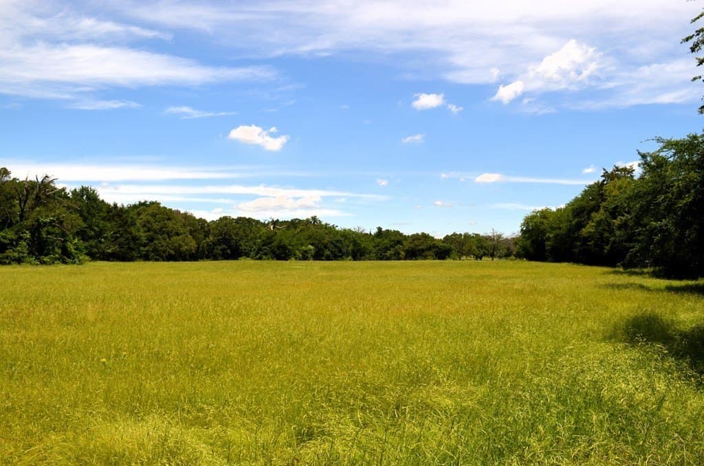 93.53 acres in Henderson County - photo 18