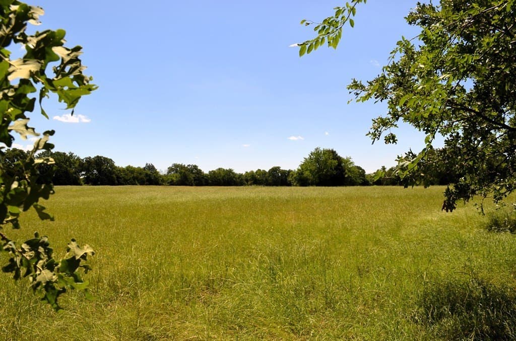 93.53 acres in Henderson County - photo 20