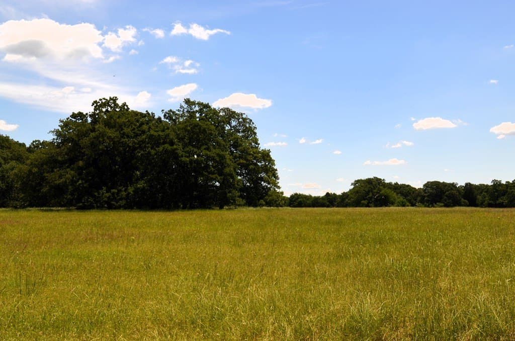 93.53 acres in Henderson County - photo 11