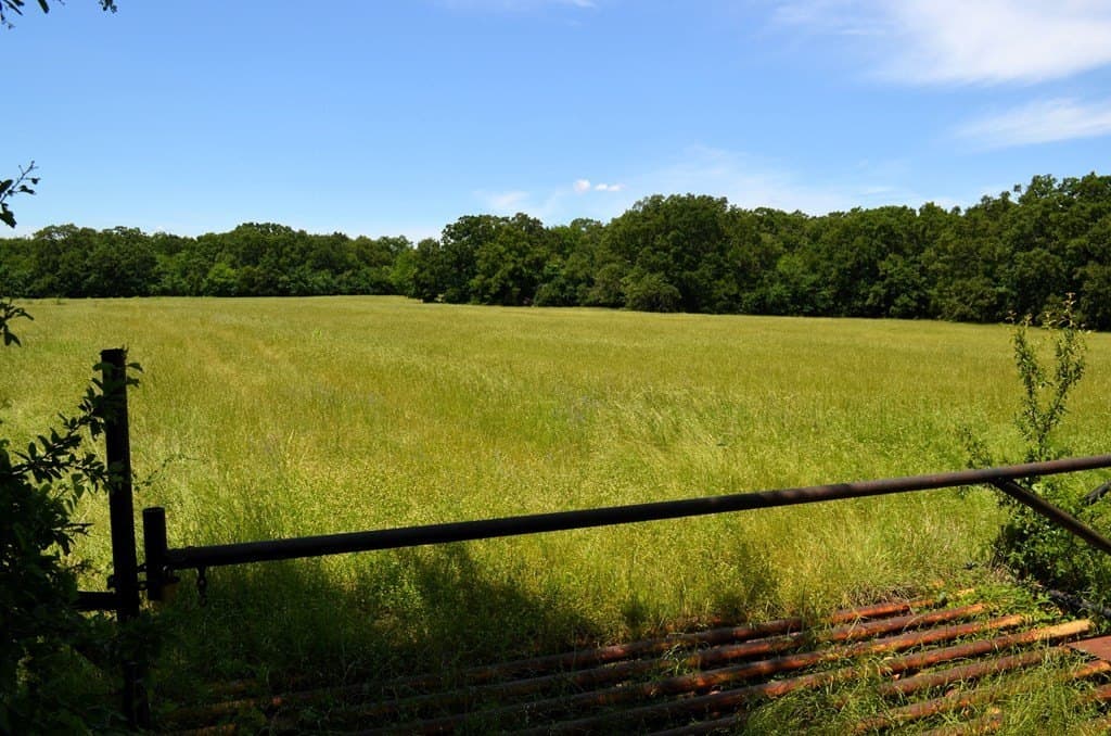 93.53 acres in Henderson County - photo 9