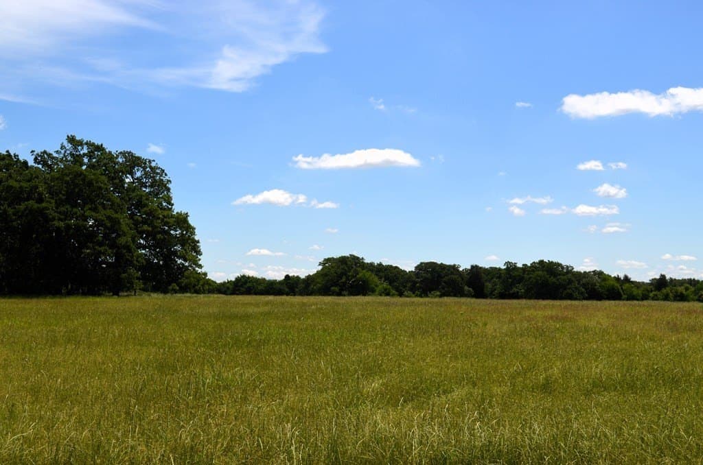 93.53 acres in Henderson County - photo 5