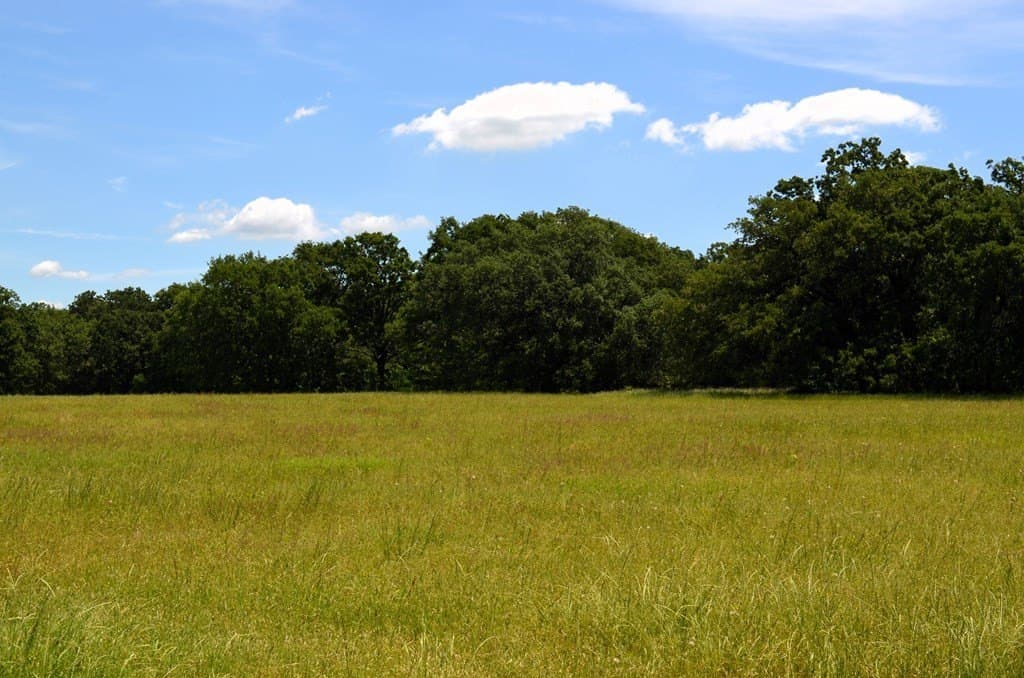 93.53 acres in Henderson County - photo 6