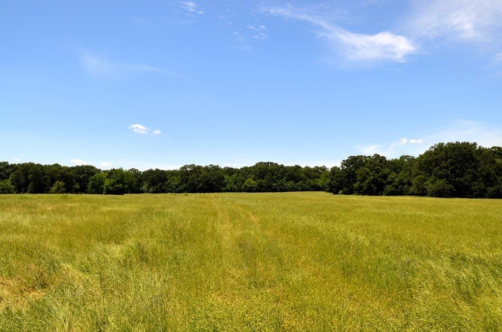 93.53 acres in Henderson County - photo 7