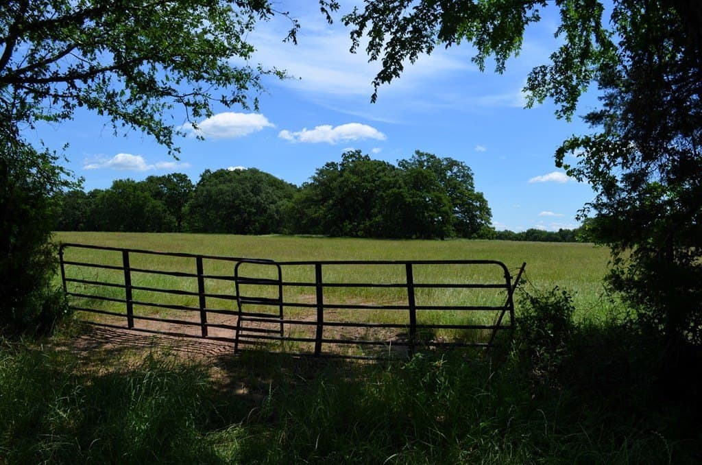 93.53 acres in Henderson County - photo 8