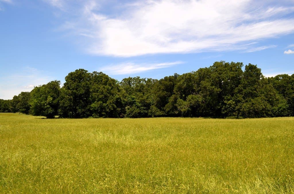 93.53 acres in Henderson County - photo 13