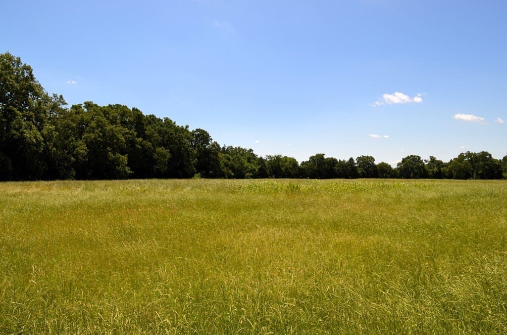 93.53 acres in Henderson County - photo 15