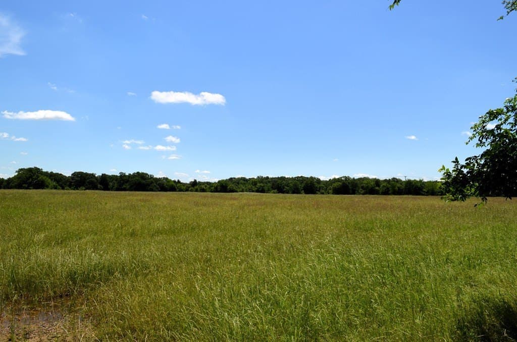 93.53 acres in Henderson County - photo 12