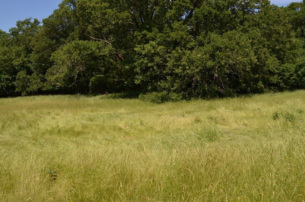 93.53 acres in Henderson County - photo 19