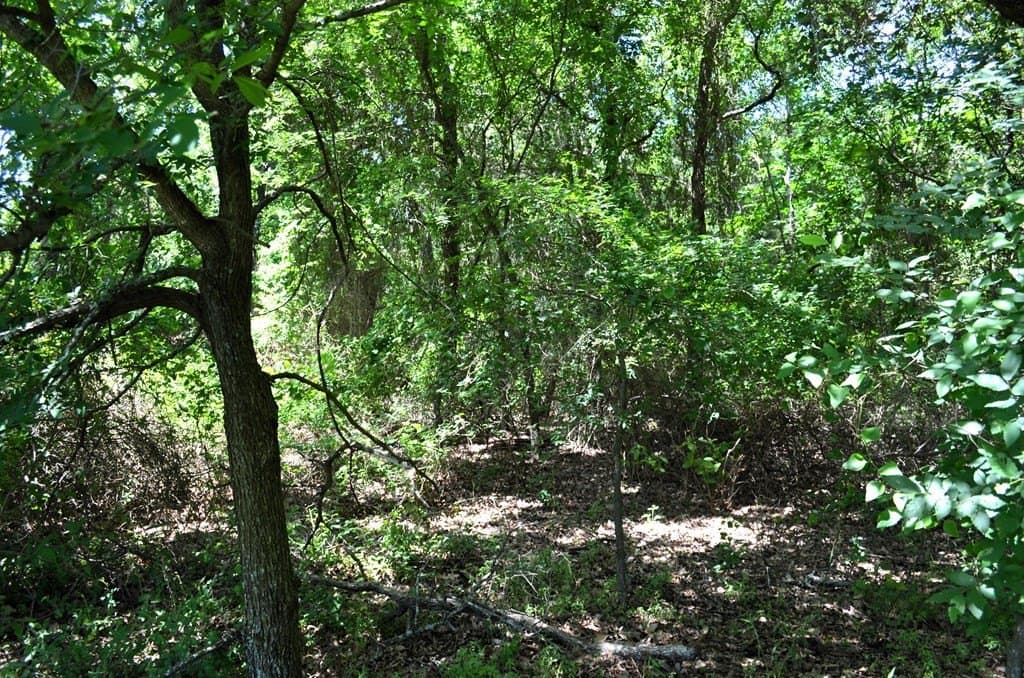 93.53 acres in Henderson County - photo 4