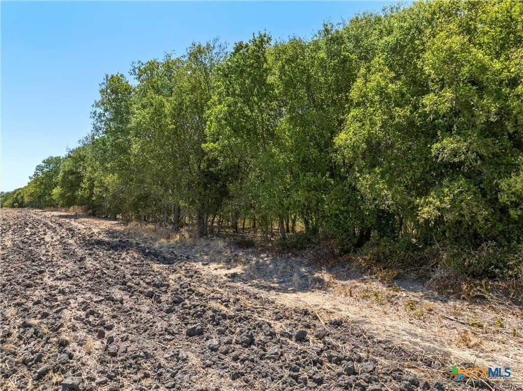12.5 acres in McLennan County - photo 5