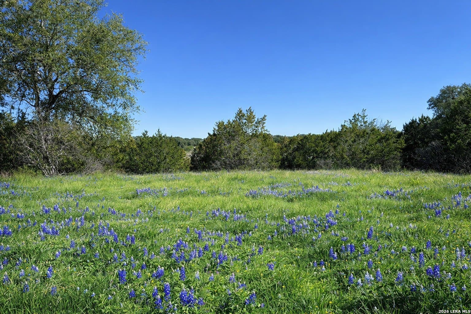 2.01 acres in Bandera County - photo 3