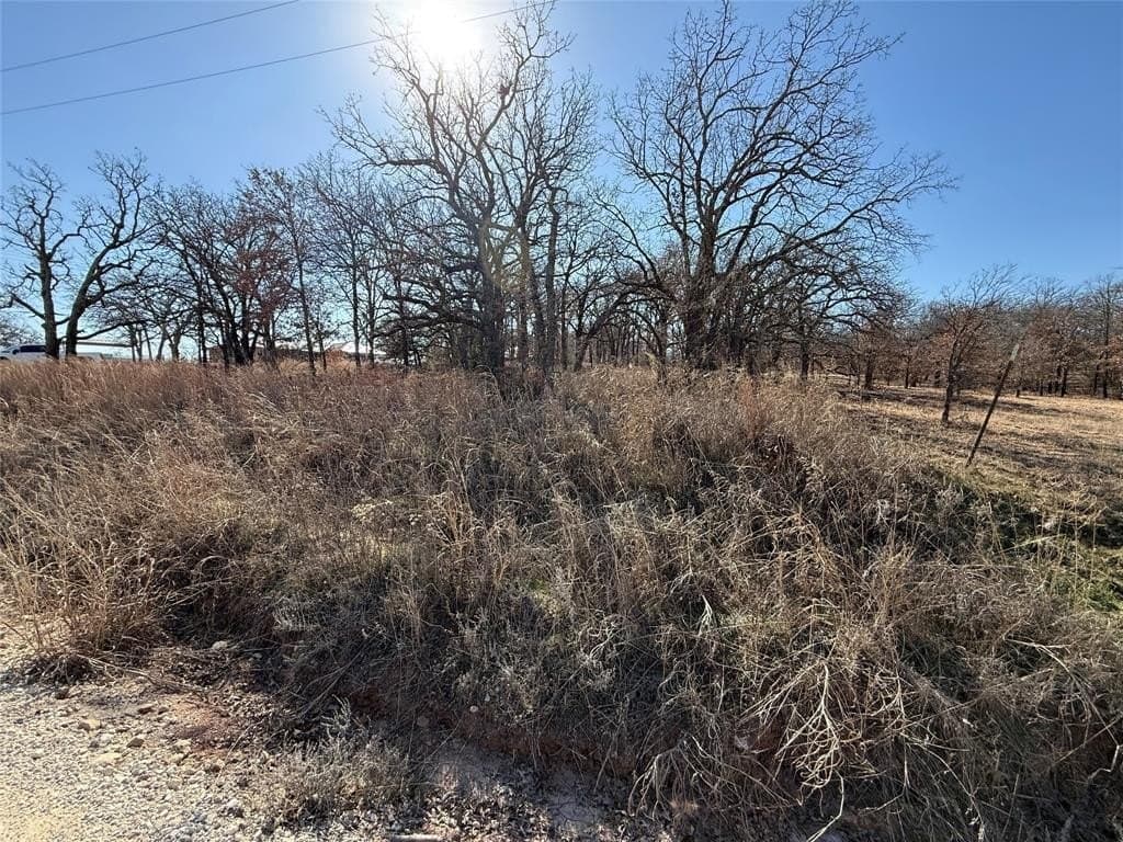 0.29 acres in Montague County - photo 2