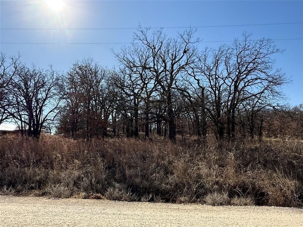 0.29 acres in Montague County - photo 4