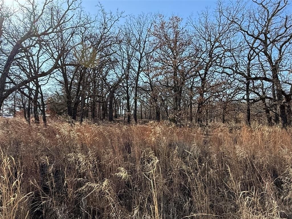 0.29 acres in Montague County - photo 5