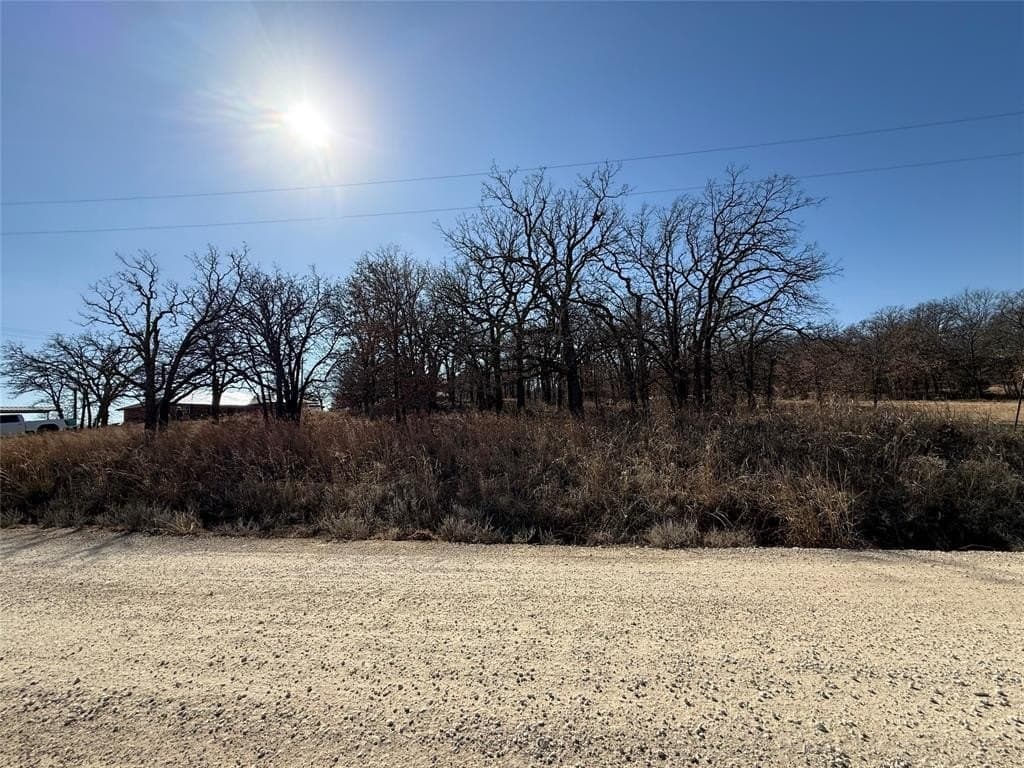 0.29 acres in Montague County - photo 3