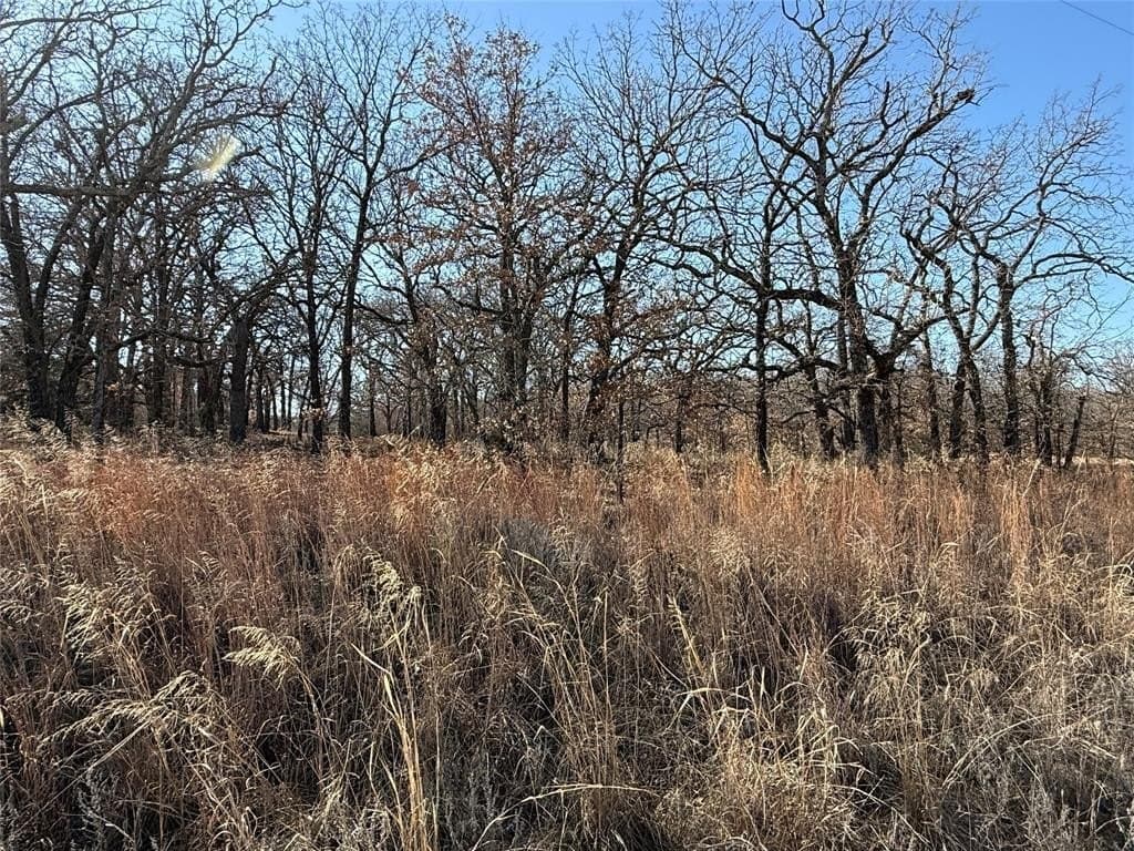 0.29 acres in Montague County - photo 6