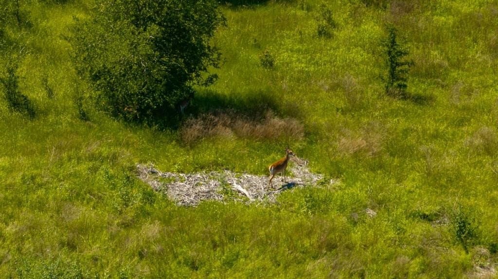 2.3 acres in Somervell County - photo 29