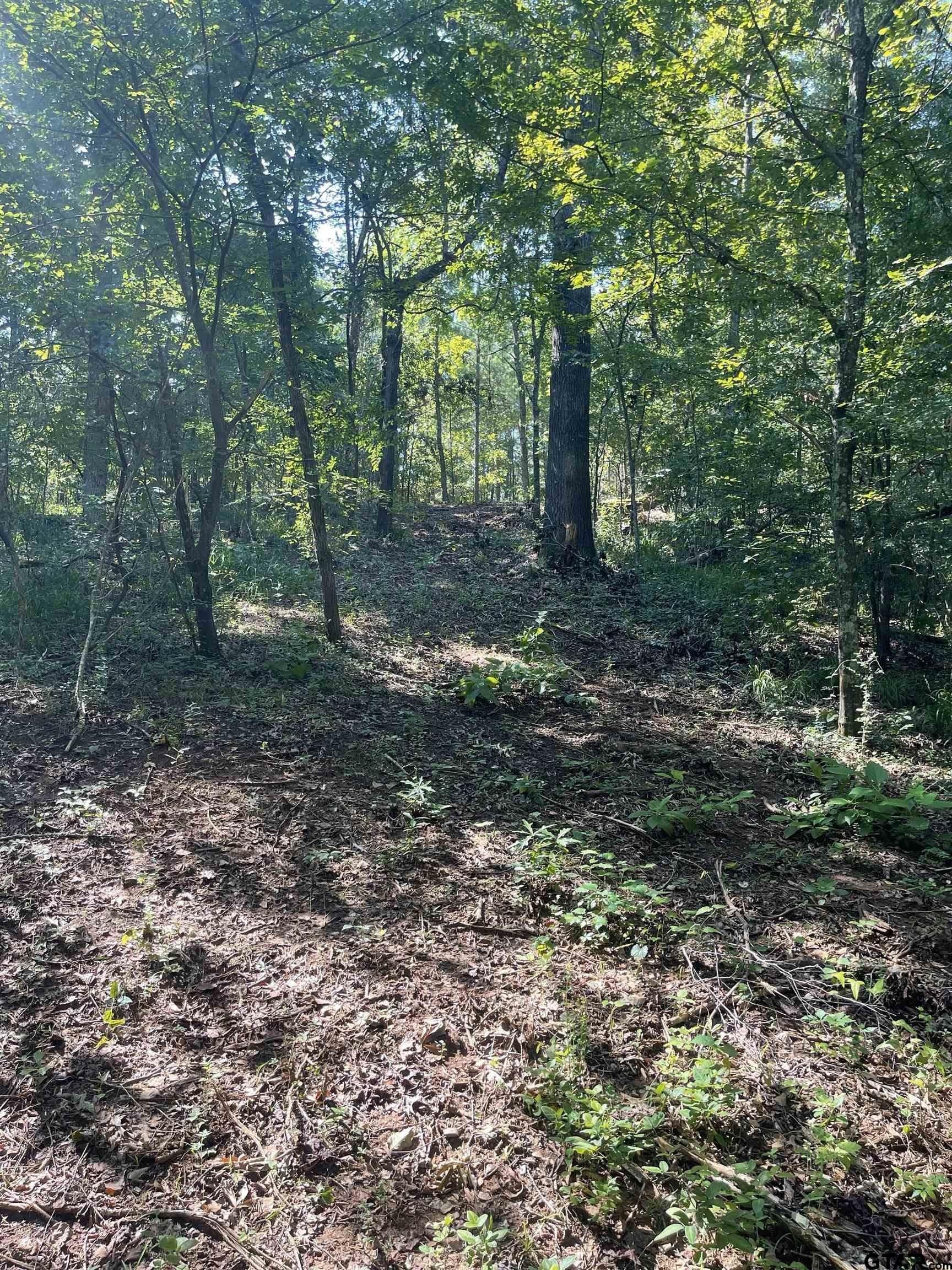 13.73 acres in Smith County - photo 7