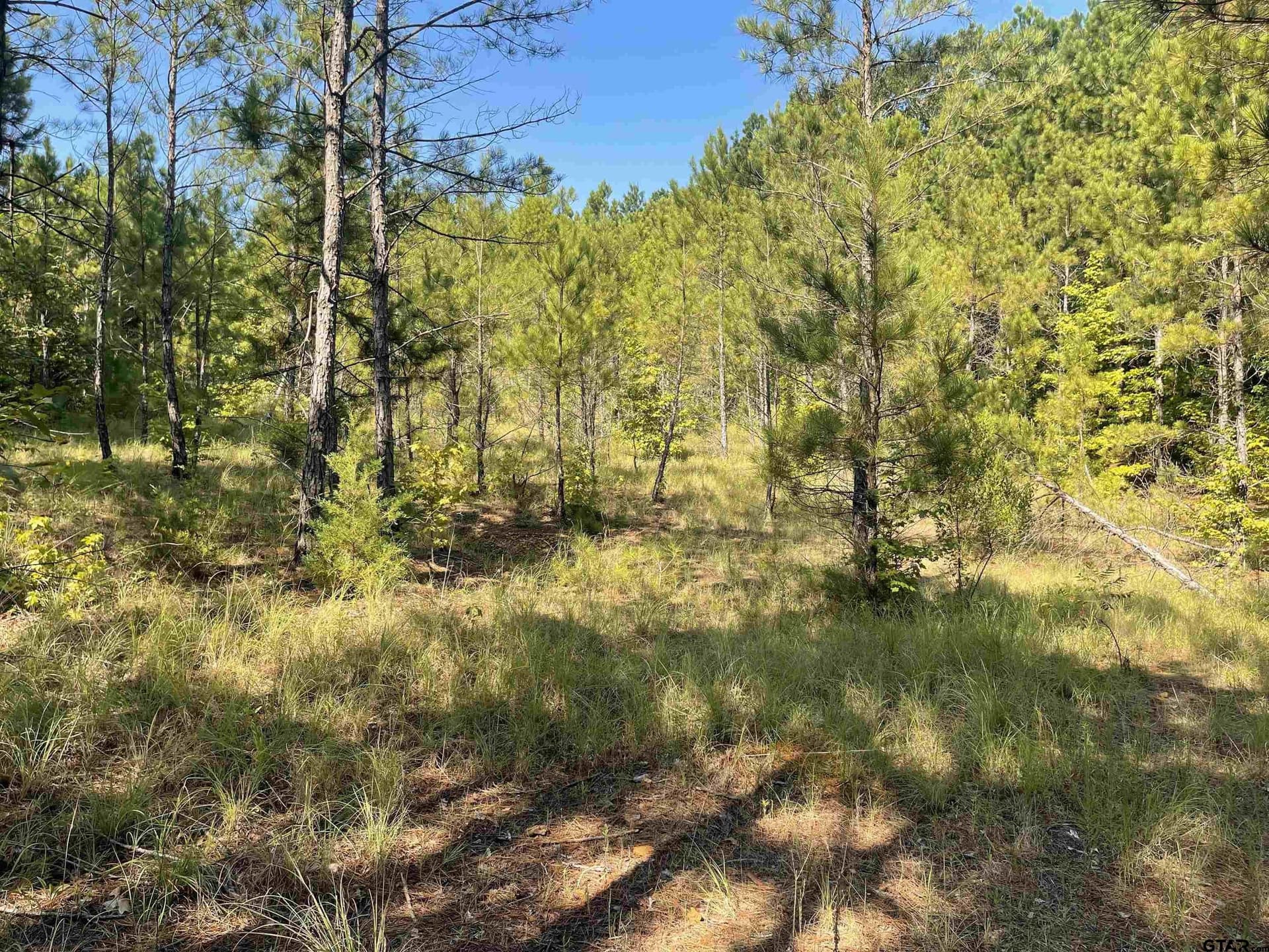 13.73 acres in Smith County - photo 5