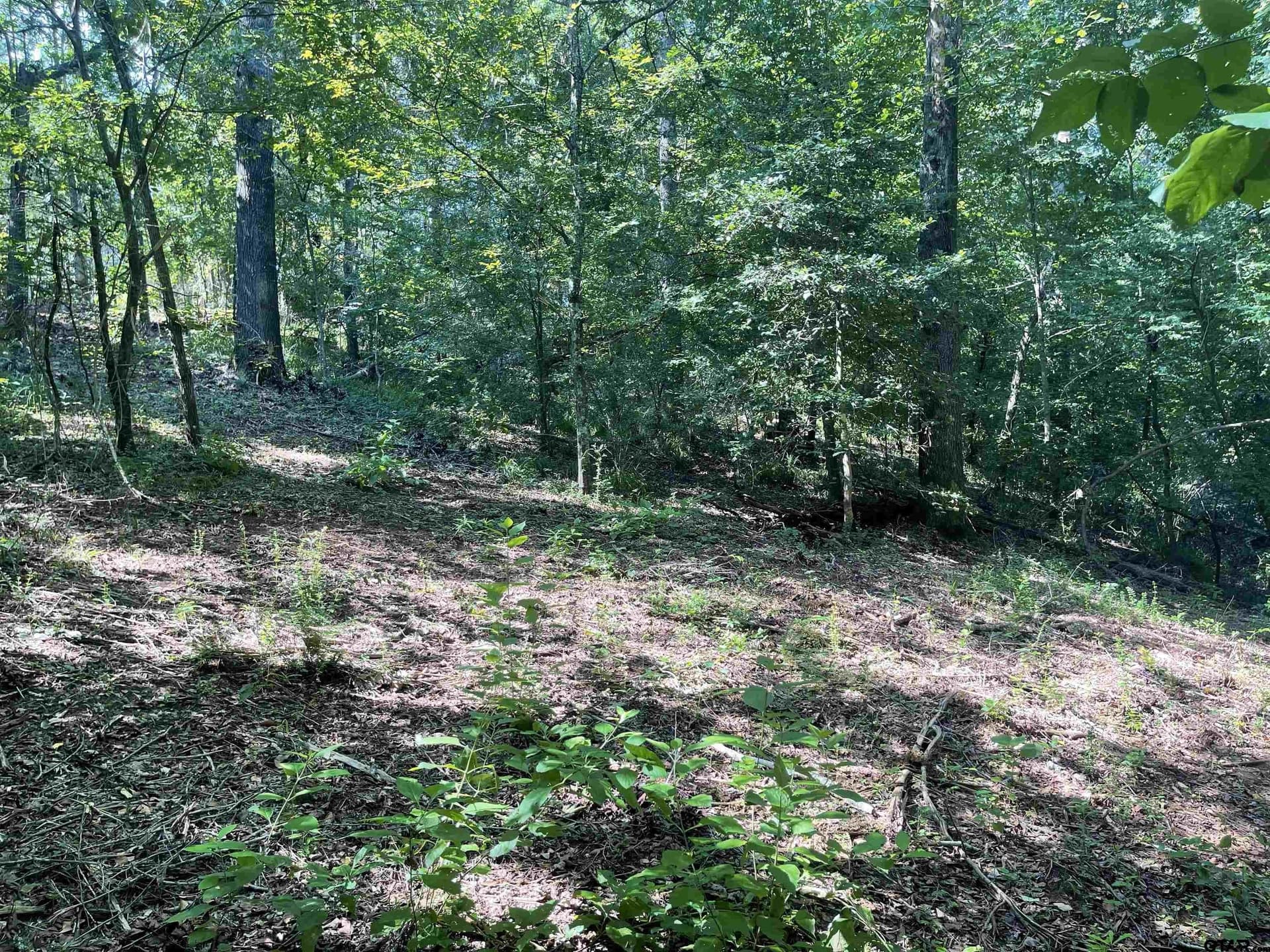 13.73 acres in Smith County - photo 6