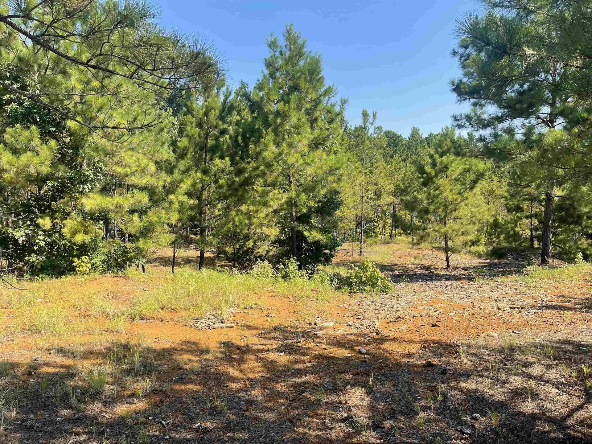 13.73 acres in Smith County - photo 4