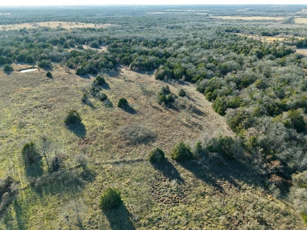 14 acres in Freestone County - photo 12