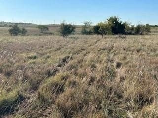 2.75 acres in Parker County - photo 10