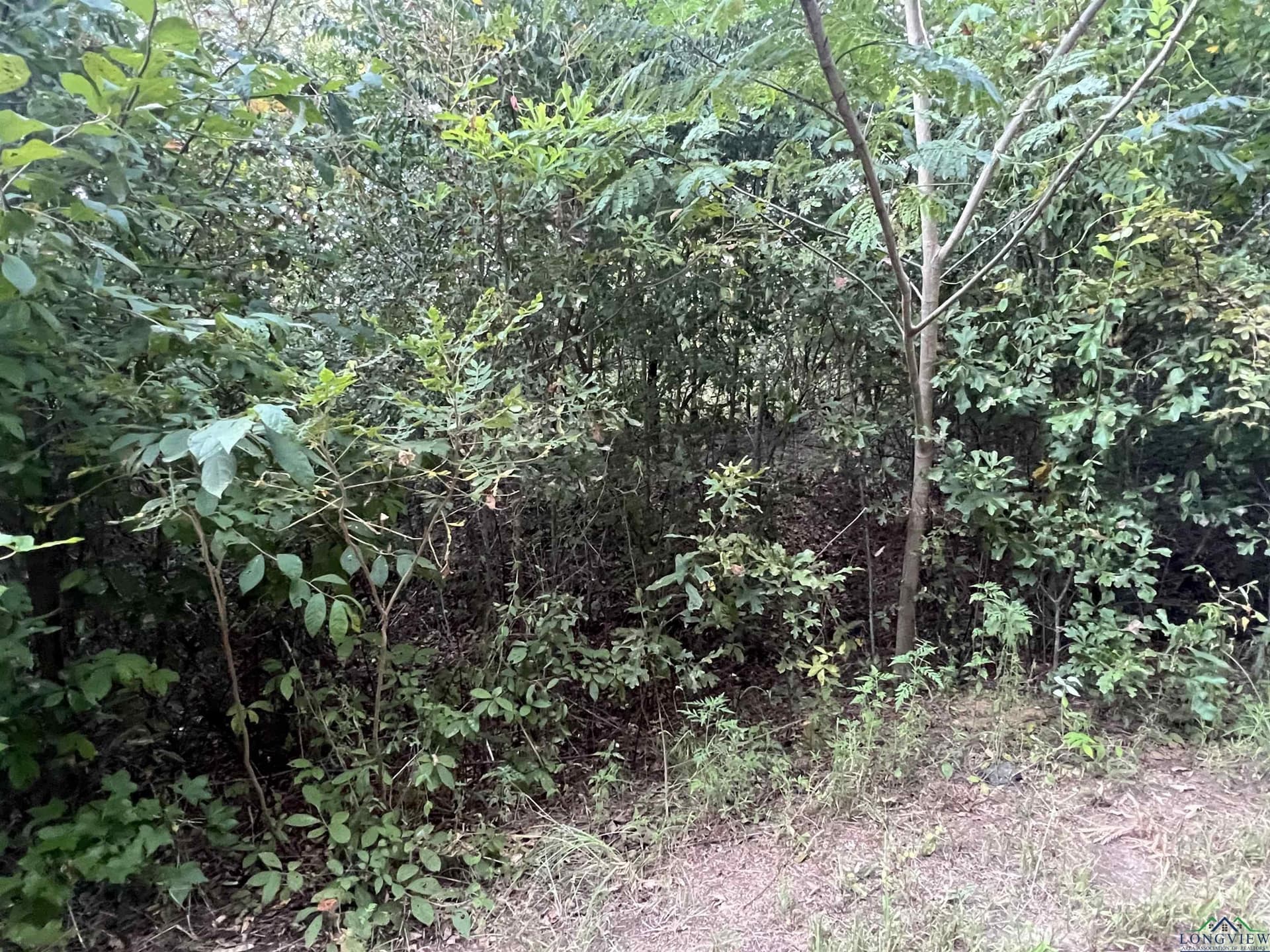 0.26 acres in Upshur County - photo 2
