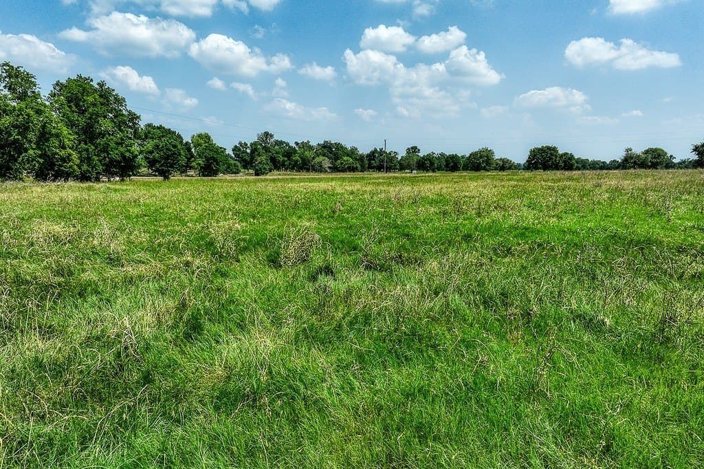 20.04 acres in Washington County - photo 2