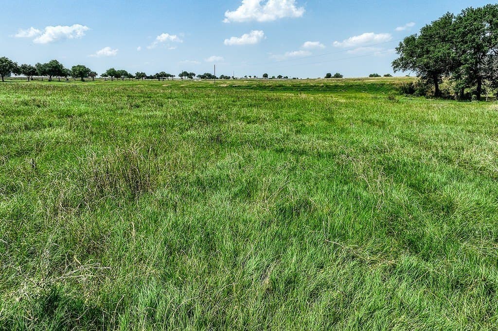 20.04 acres in Washington County - photo 3