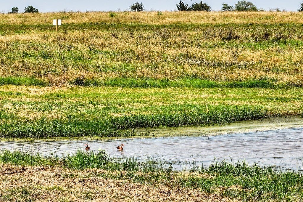 20.04 acres in Washington County - photo 10