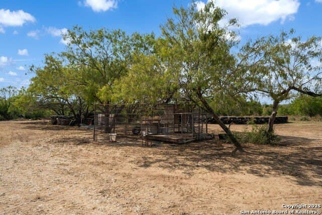 11 acres in Atascosa County - photo 15