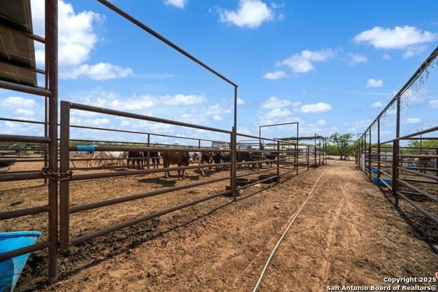 11 acres in Atascosa County - photo 18