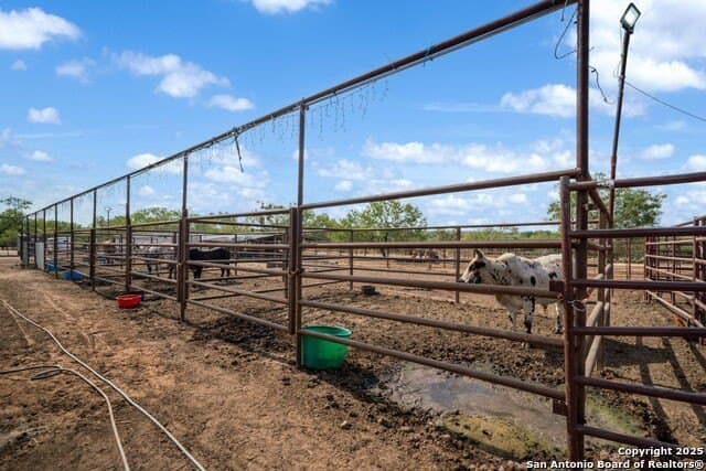 11 acres in Atascosa County - photo 21