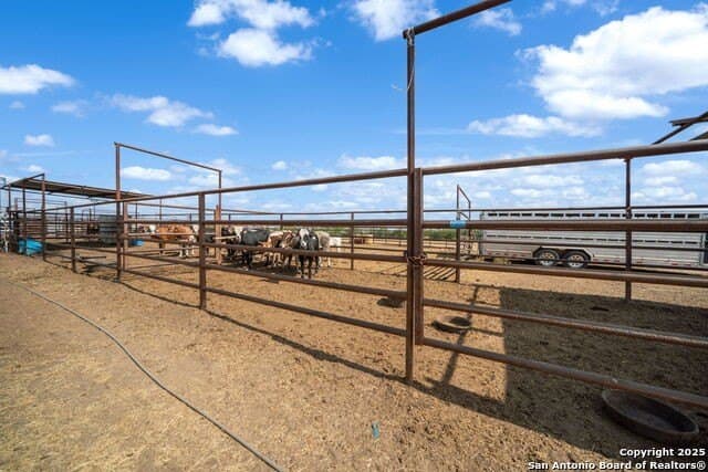 11 acres in Atascosa County - photo 20