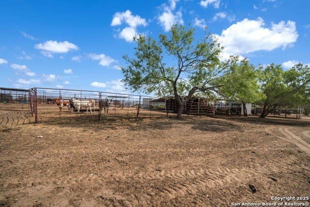 11 acres in Atascosa County - photo 14