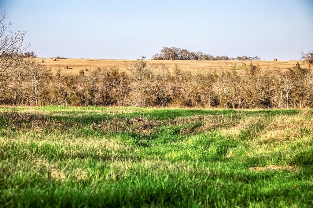 74.24 acres in Washington County - photo 23