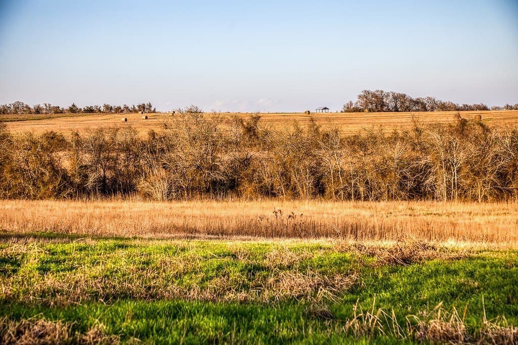 74.24 acres in Washington County - photo 24