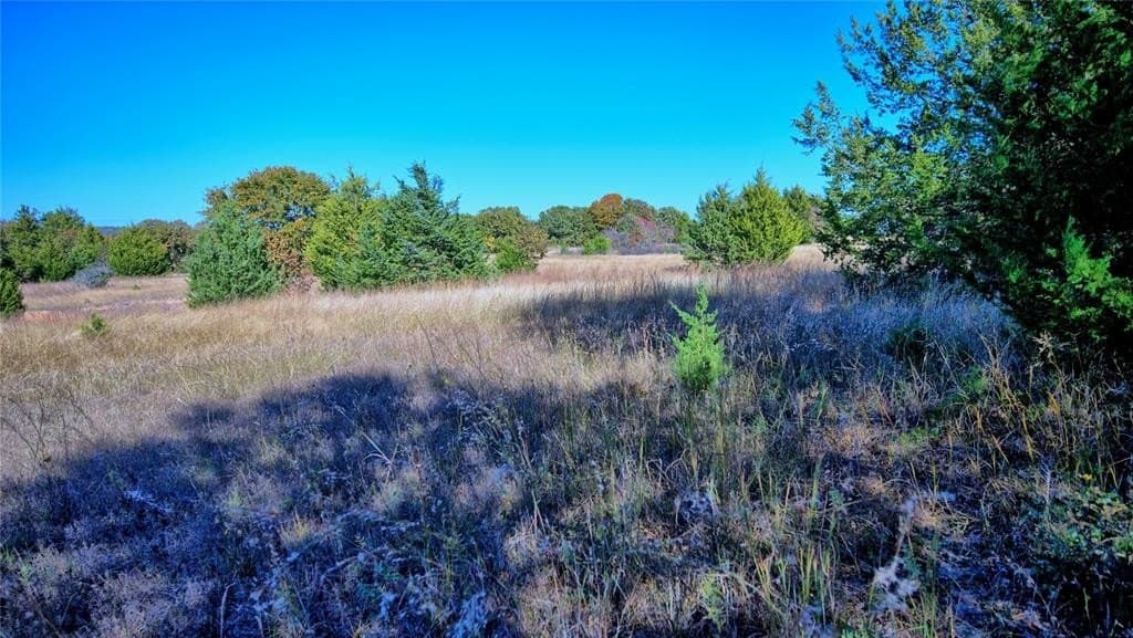 49.9 acres in Montague County - photo 22