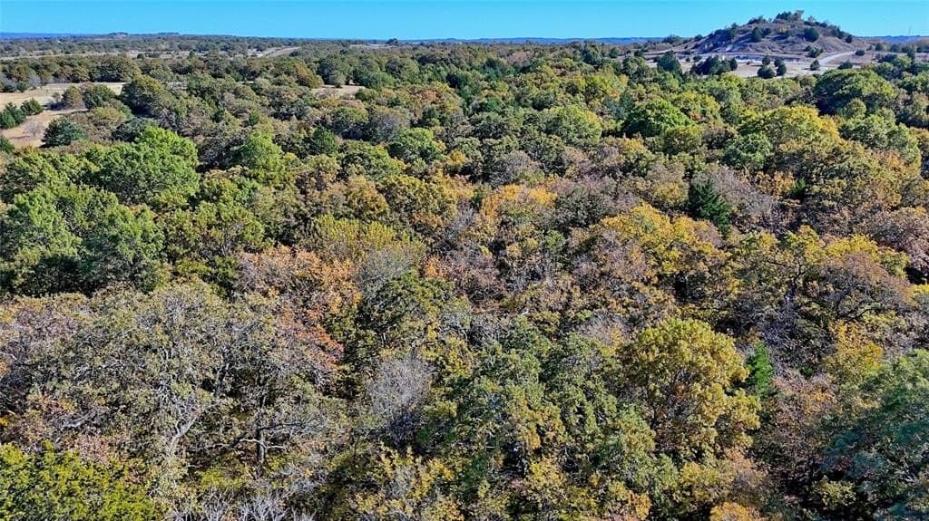 49.9 acres in Montague County - photo 17