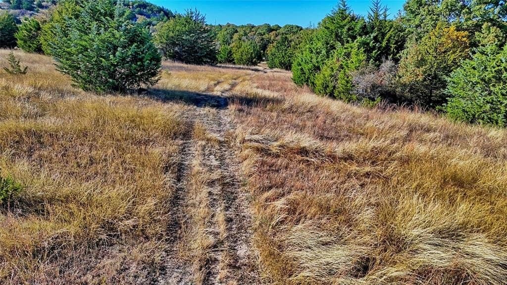 49.9 acres in Montague County - photo 10
