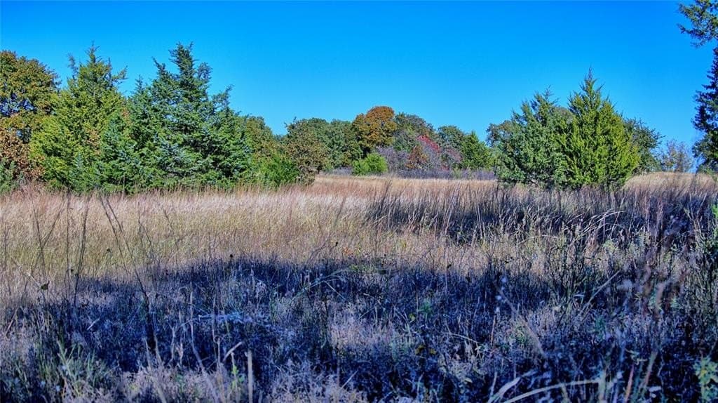 49.9 acres in Montague County - photo 15
