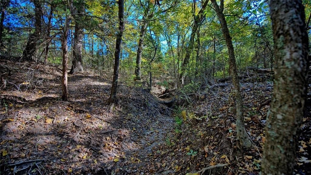 49.9 acres in Montague County - photo 19