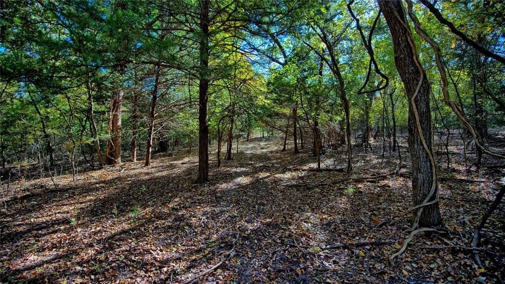 49.9 acres in Montague County - photo 18