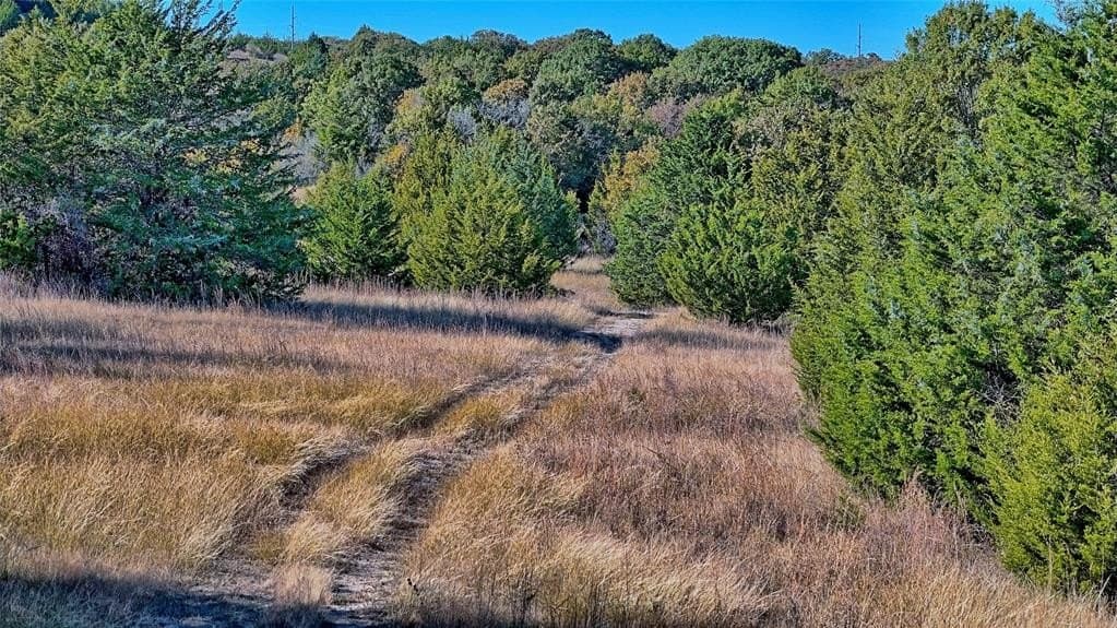 49.9 acres in Montague County - photo 27